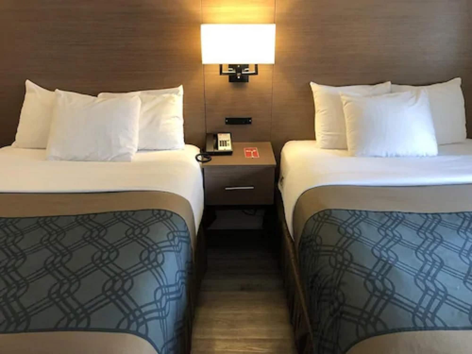 Econo Lodge Inn & Suites Downtown Toronto Luaran gambar